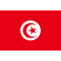 Флаг Туниса