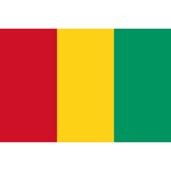 Флаг Гвинеи