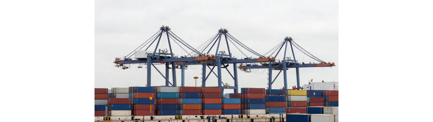 Первый рейс «Арктический экспресс №1»: поставки из Hainan Yangpu NewNew Shipping в Архангельск