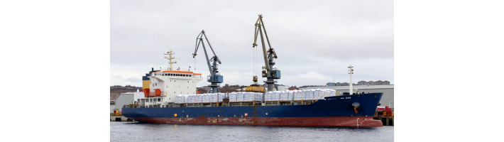 Мурманский балкерный терминал загрузил NewNew Shipping Line: пример двусторонних грузоперевозок по Севморпути