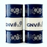 Компрессорное GNV Compro Plus VDL 100, 208л, минеральное