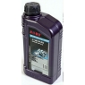 Трансмиссионное масло Rowe HIGHTEC ATF DCG II, 1 л, синтетика